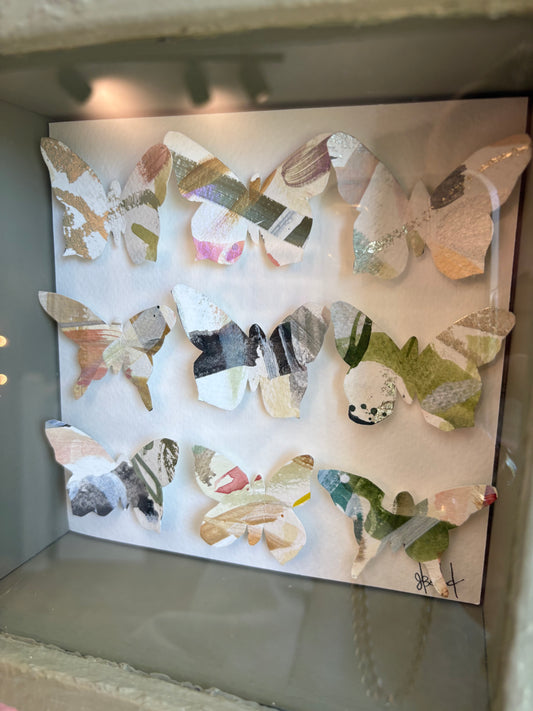 Butterfly Shadowbox