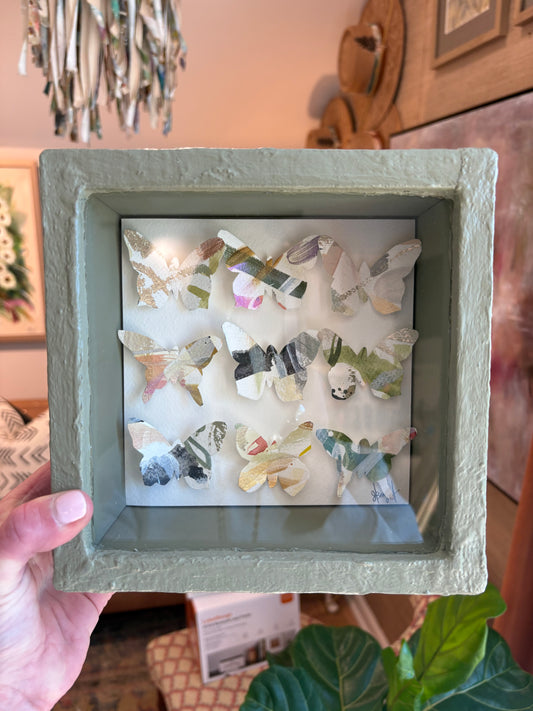 Butterfly Shadowbox